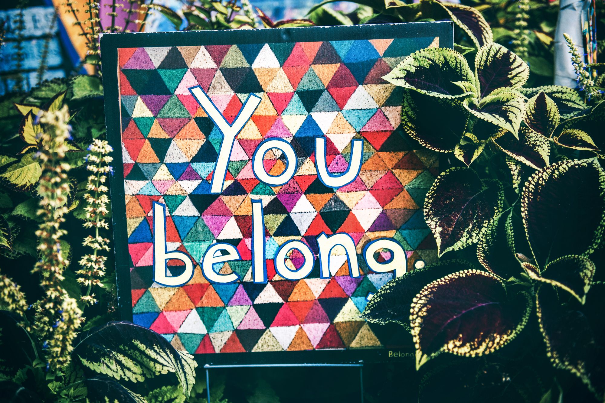 beautiful and colorful image with the caption "You Belong"