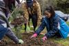 Community members preparing the soil of a community garden project