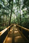The Inclusive Community Outdoor Challenge - Week 2