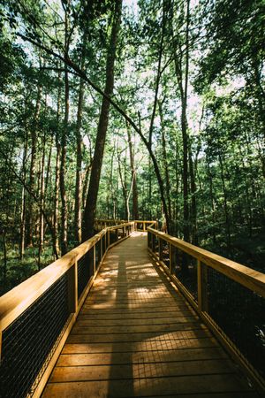 The Inclusive Community Outdoor Challenge - Week 2