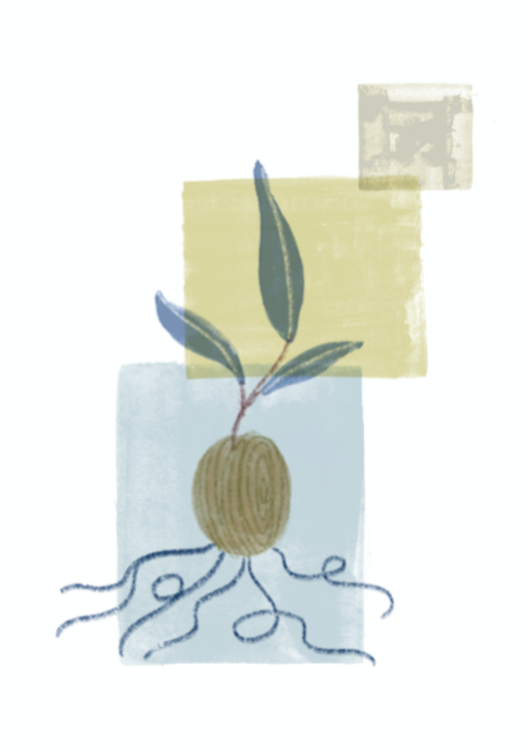 GroundWork Lessons From the Field P1.2